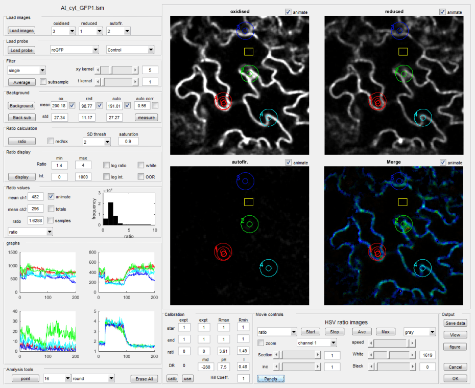 Basic Ratio Analysis Interface