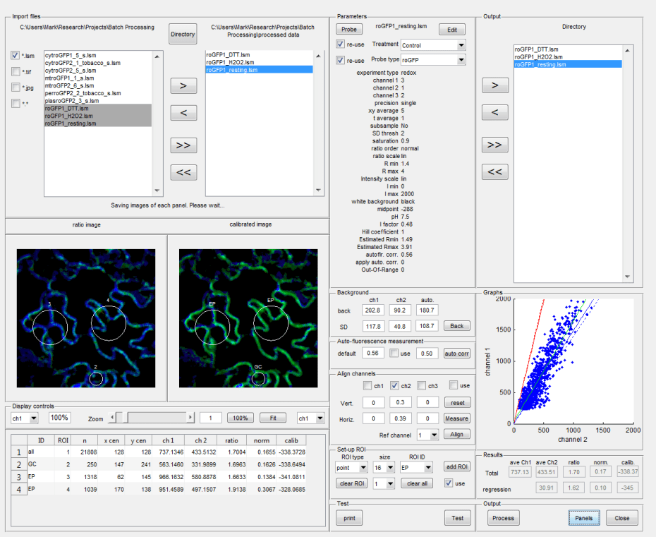 Batch Ratio Analysis Interface